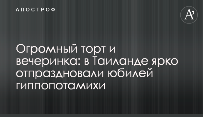Огромный торт и вечеринка: в Таиланде ярко отпраздновали юбилей гиппопотамихи