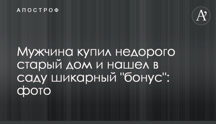 Чоловік купив недорого старий будинок і знайшов в саду шикарний 