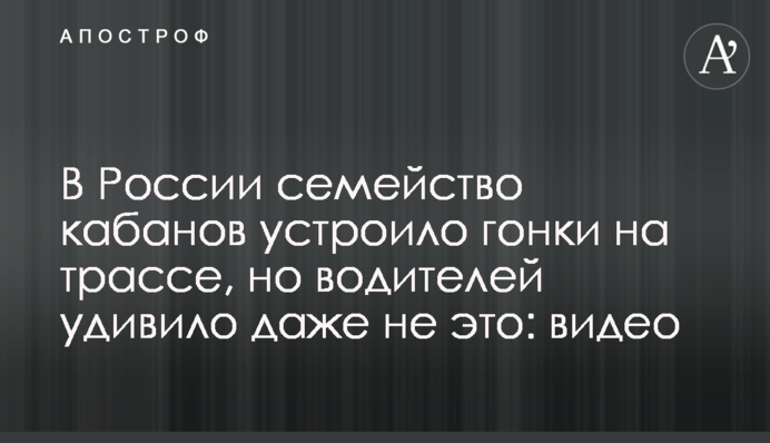 В России семейство кабанов устроило гонки на трассе, но водителей удивило даже не это: видео