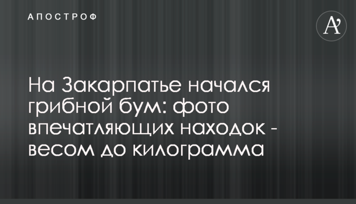 На Закарпатті розпочався грибний бум: фото вражаючих знахідок - вагою до кілограма