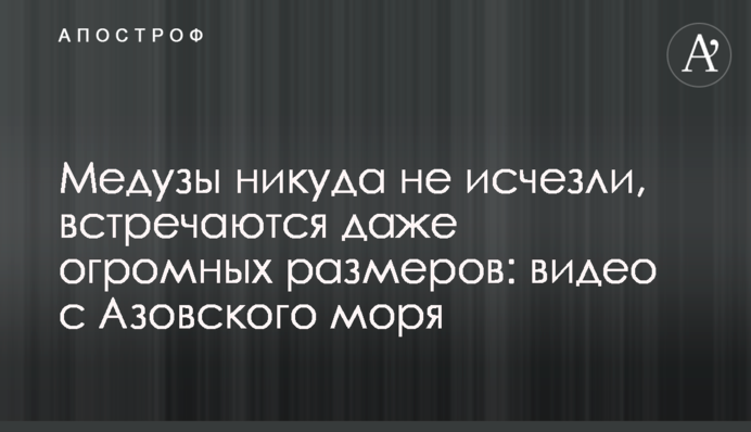 Медузы никуда не исчезли, встречаются даже огромных размеров: видео с Азовского моря