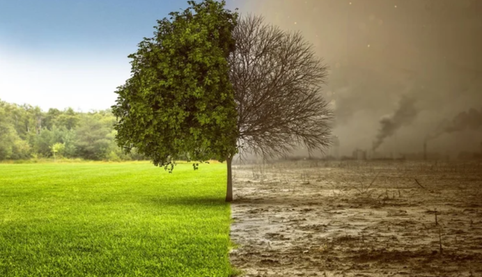 Это катастрофа: эколог рассказала, как изменение климата ударит по сельскому хозяйству в Украине