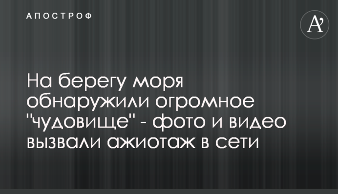 На берегу моря обнаружили огромное 