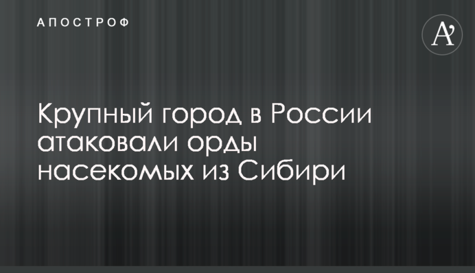 Крупный город в России атаковали орды насекомых: видео апокалипсиса
