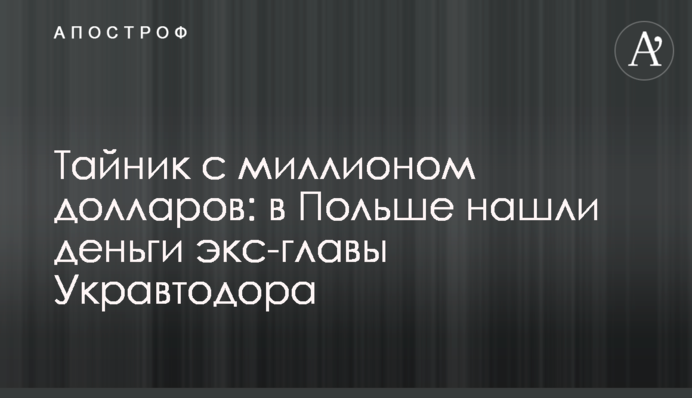 Схованка з мільйоном доларів: у Польщі знайшли гроші екс-голови 
