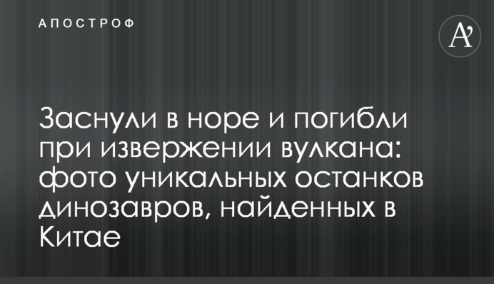 Заснули в норе и погибли при извержении вулкана: фото уникальных останков динозавров, найденных в Китае