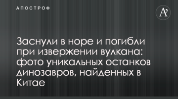 Заснули в норе и погибли при извержении вулкана: фото уникальных останков динозавров, найденных в Китае