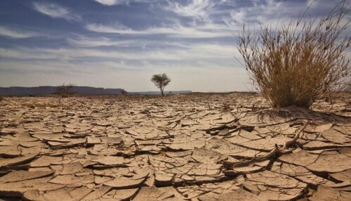 В Симферопольском водохранилище закончилась вода: свежие фото экокатастрофы