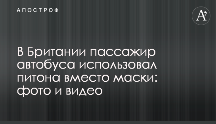 В Британии пассажир автобуса использовал питона вместо маски: фото и видео