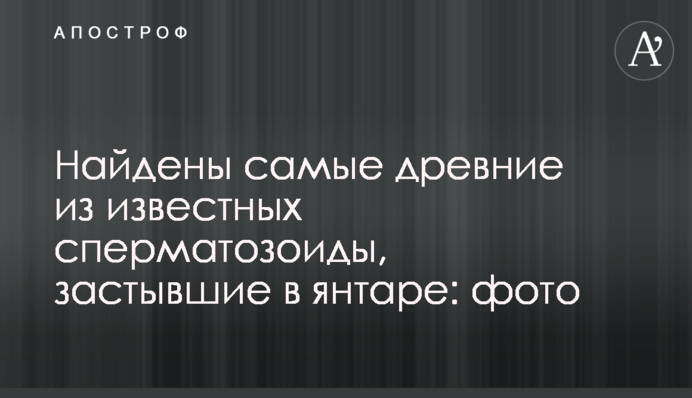 Найдены самые древние из известных сперматозоиды, застывшие в янтаре: фото