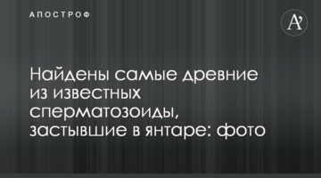 Найдены самые древние из известных сперматозоиды, застывшие в янтаре: фото