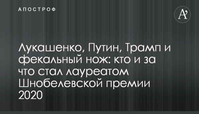 Заява Лукашенка про закриття кордонів з Литвою і Польщею: білоруські прикордонники дали пояснення