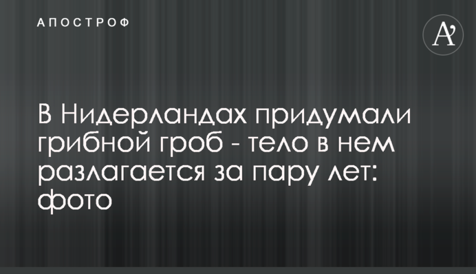 В Нидерландах придумали грибной гроб - тело в нем разлагается за пару лет: фото