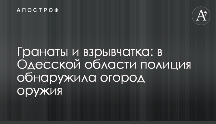 Гранаты и взрывчатка: в Одесской области полиция обнаружила огород оружия