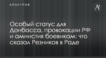 Особый статус для Донбасса, провокации РФ и амнистия боевикам: что сказал Резников в Раде