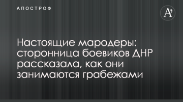 Справжні мародери: прихильниця бойовиків ДНР розповіла, як вони займаються грабежами