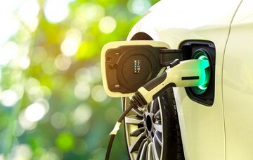 В Україні з'явилися нові номерні знаки: що потрібно знати водіям