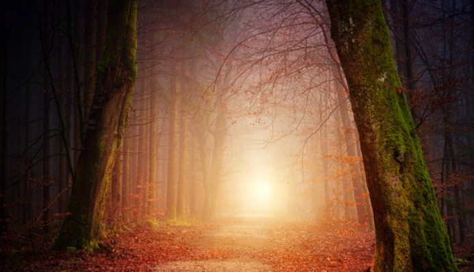 Осіннє рівнодення: як правильно загадати бажання 22 вересня