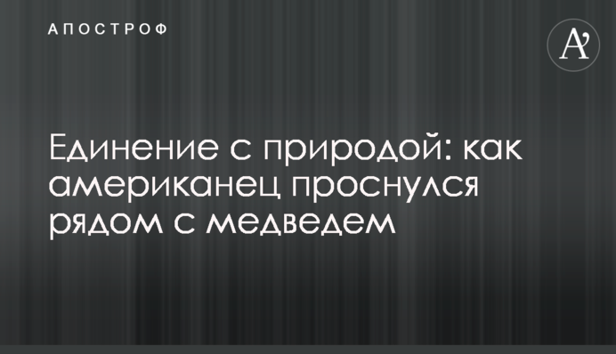 Доброе утро: спящего мужчину разбудил медведь, который пришел попить воды