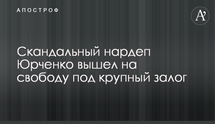 Скандальний нардеп Юрченко вийшов на свободу під великий заставу