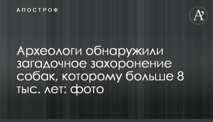 Археологи виявили загадкове поховання собаки, якому понад 8 тис. років: фото