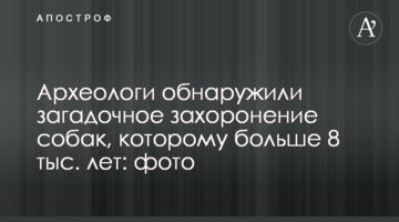 Археологи обнаружили загадочное захоронение собаки, которому больше 8 тыс. лет: фото