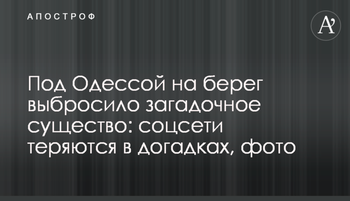 ​Під Одесою на берег викинуло загадкову істоту: соцмережі губляться в здогадах, фото