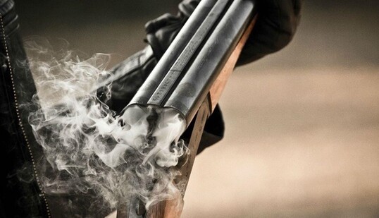 Дети пытались убежать: всплыли жуткие детали расстрела матерью дочерей под Львовом