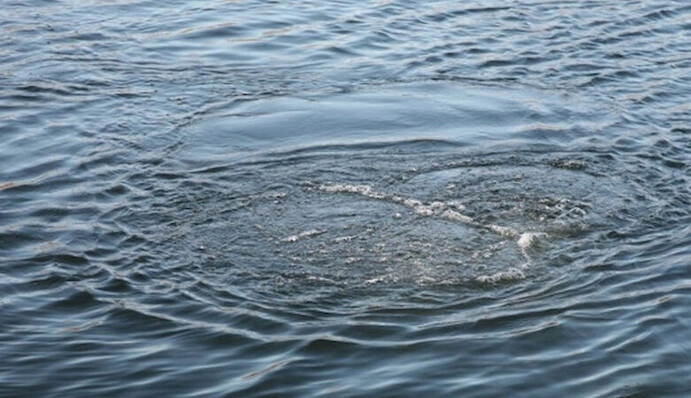 Під Дніпром трагічно загинув підліток - його шукали не один день: фото