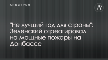 "Не найкращий рік для країни": Зеленський відреагував на потужні пожежі на Донбасі