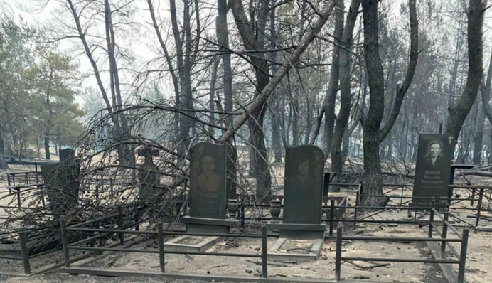 Как пожары прошлись по кладбищам под Северодонецком: жуткие фото и видео