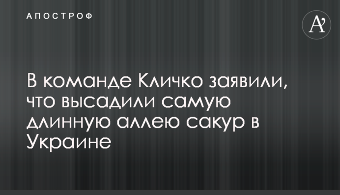 В команде Кличко заявили, что высадили самую длинную аллею сакур в Украине