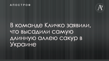 В команде Кличко заявили, что высадили самую длинную аллею сакур в Украине