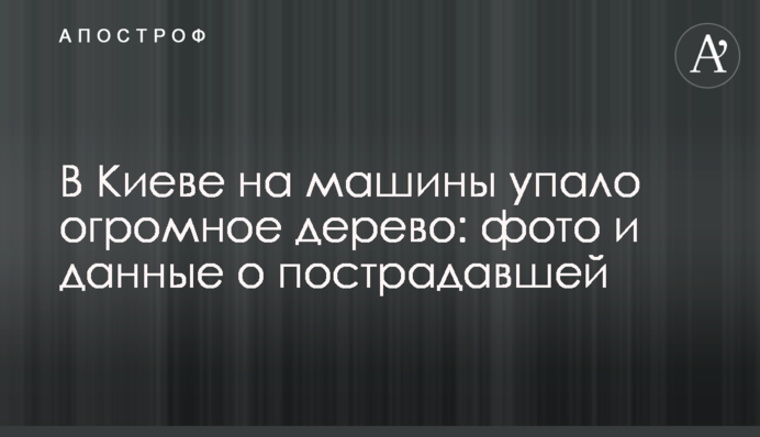 В Киеве на машины упало огромное дерево: фото и данные о пострадавшей