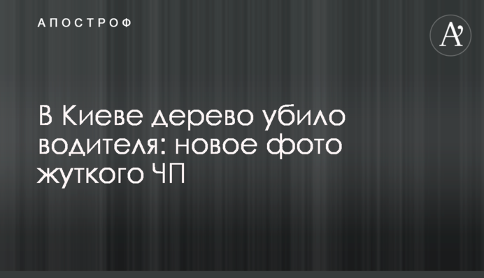 У Києві дерево вбило водія: нове фото моторошної НП