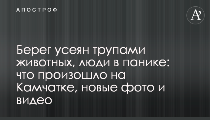 Берег усеян трупами животных, люди в панике: что произошло на Камчатке, новые фото и видео