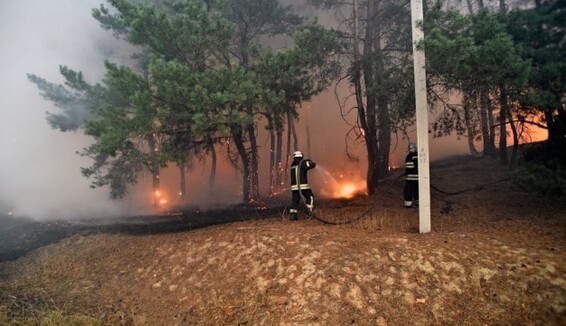 На Донбассе вспыхнул новый масштабный пожар, взрываются снаряды