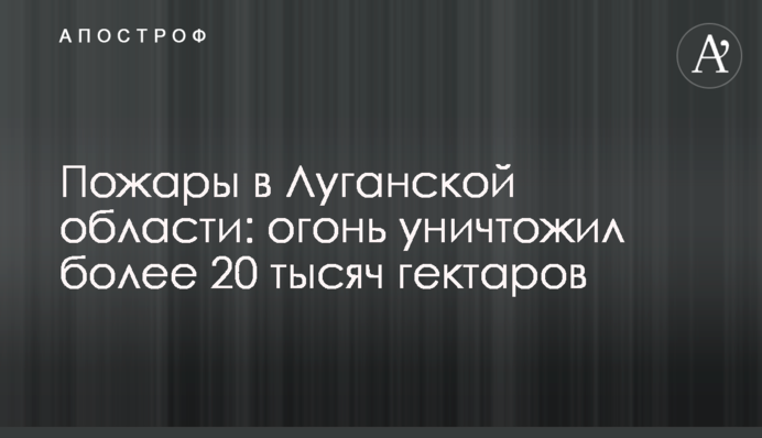 Пожежі в Луганській області: полум'я знищило понад 20 тисяч гектарів