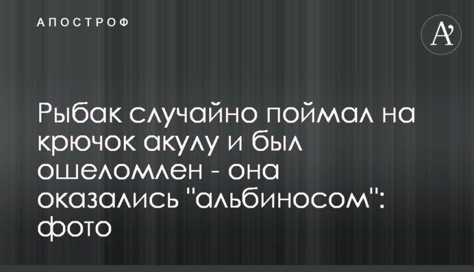 Рибак випадково зловив на гачок акулу і був приголомшений - вона виявилася 