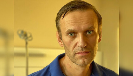 В ОЗХО вынесли окончательный вердикт по ситуации с Навальным