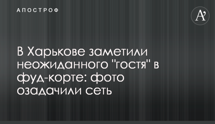 В Харькове заметили неожиданного 