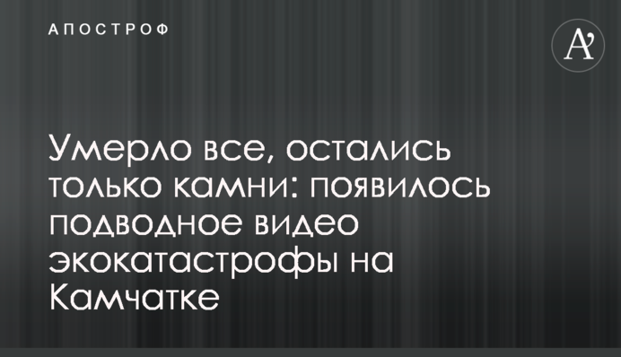 ​Померло все, залишилося тільки каміння: з'явилося підводне відео екокатастрофи на Камчатці