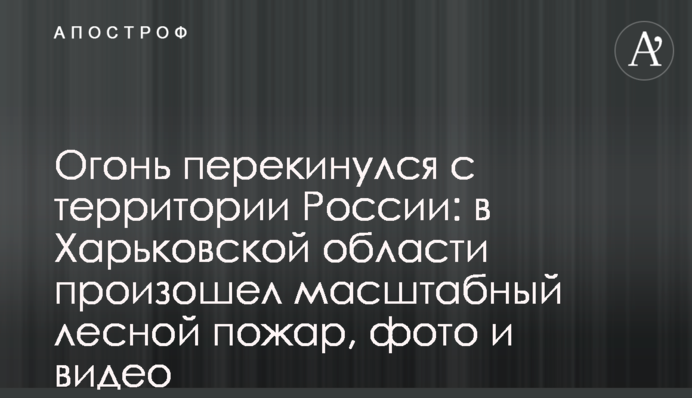 Вогонь перекинувся з території Росії: у Харківській області сталася масштабна лісова пожежа, фото і відео