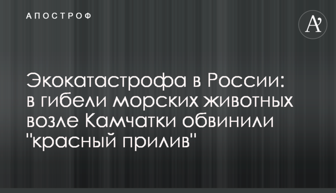 Экокатастрофа в России: в гибели морских животных возле Камчатки обвинили 