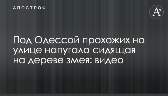 Під Одесою перехожих на вулиці налякала змія, що сиділа на дереві: відео