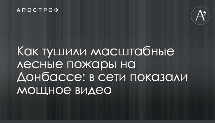 Як гасили масштабні лісові пожежі на Донбасі: в мережі показали потужне відео