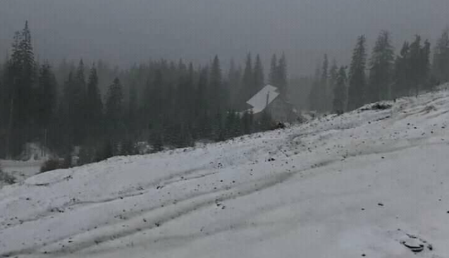 Температура впала нижче нуля: з'явилися фото сильного снігопаду в українських Карпатах