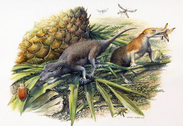 Учені розкрили секрет довголіття найперших ссавців планети