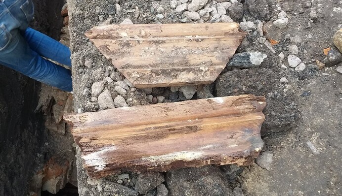 Під Києвом знайшли склеп з могилами, яким сотні років: фото незвичайної знахідки