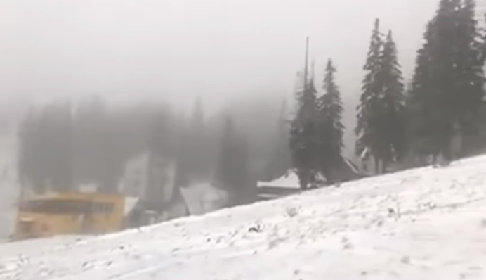 Перший сніг випав у Львівській області: вражаюче відео